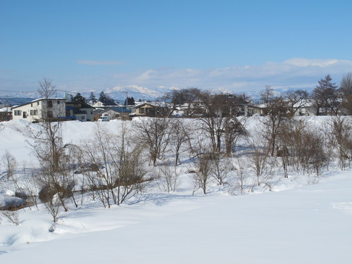 快晴の大寒、盆地米沢の山々（４）_c0075701_18314264.jpg