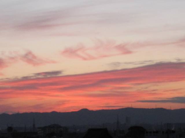 d0241201_2155428.jpg
