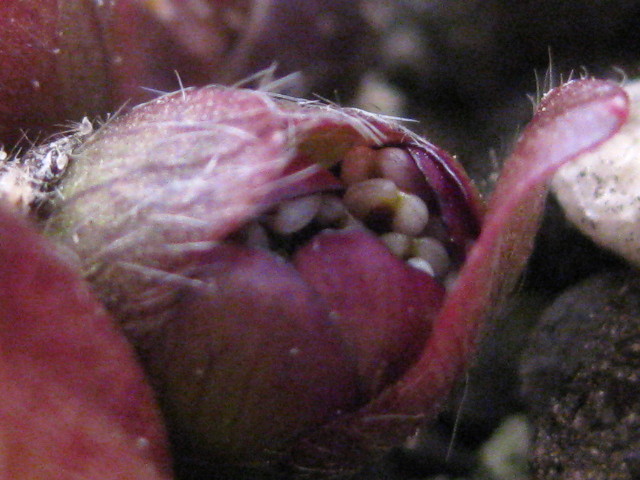 f0236201_8244282.jpg