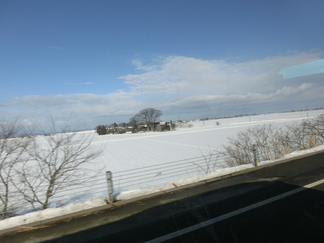a0203003_19533813.jpg