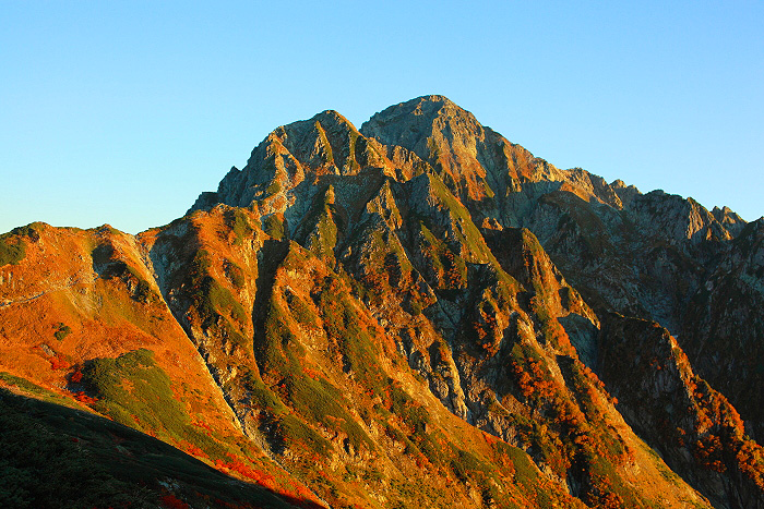 a0148606_2014954.jpg