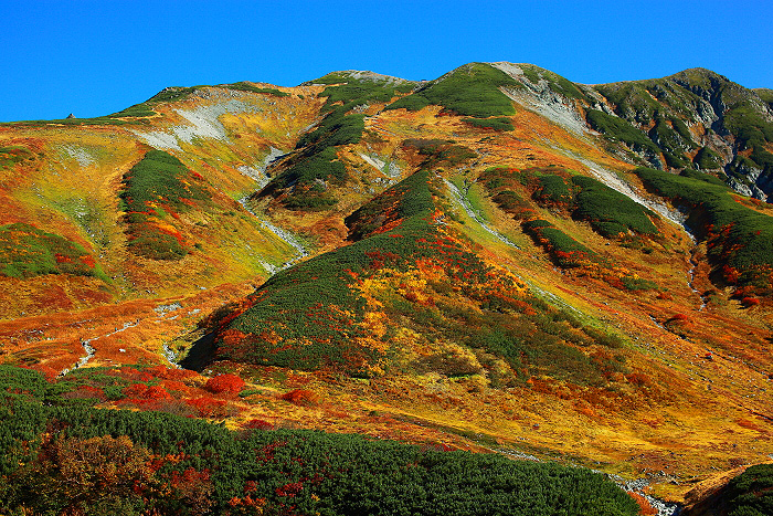 a0148606_22561668.jpg