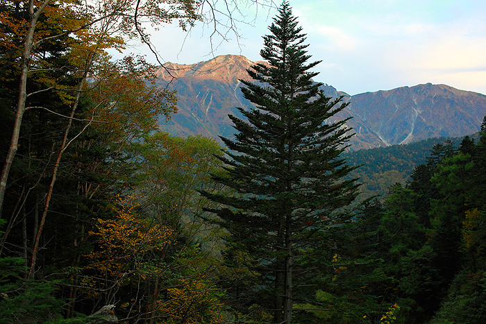 a0148606_23125083.jpg