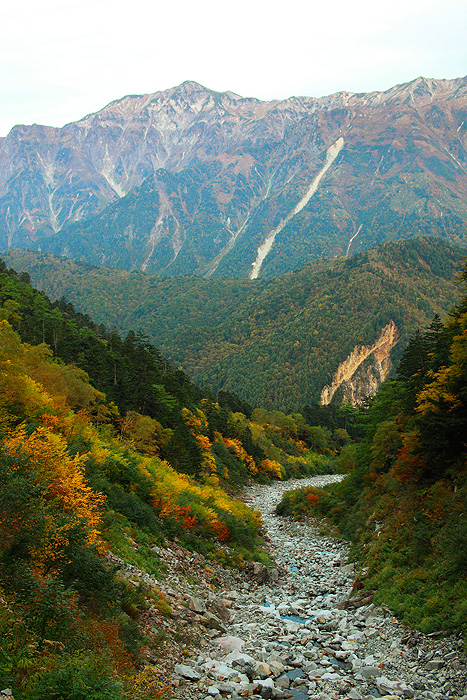 a0148606_23131721.jpg