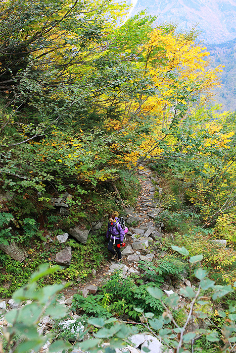 a0148606_231338.jpg