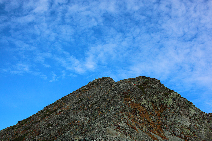 a0148606_2320485.jpg