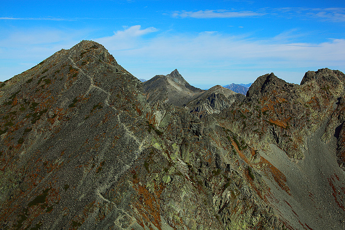 a0148606_232205.jpg