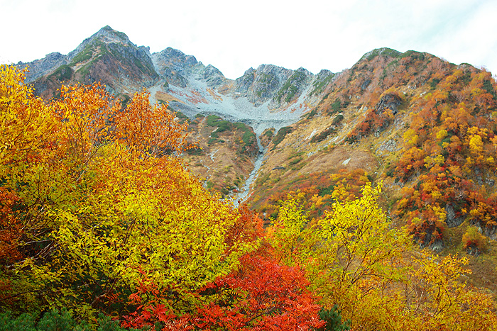 a0148606_23423098.jpg