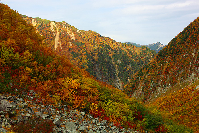 a0148606_23441360.jpg
