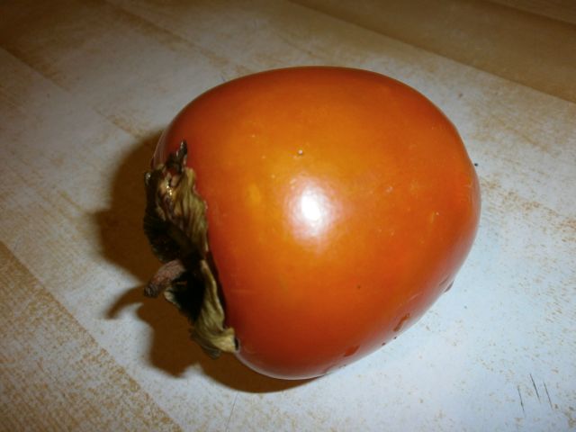 e0039206_211481.jpg
