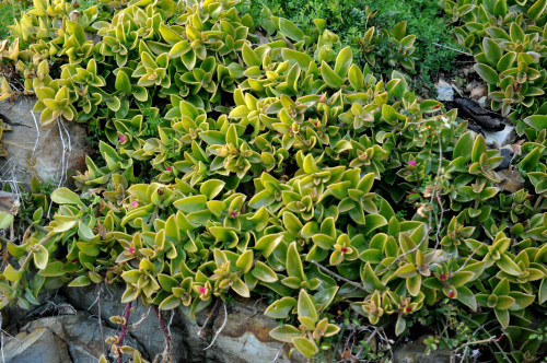 f0188408_12441387.jpg