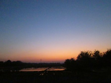 b0051109_10301788.jpg