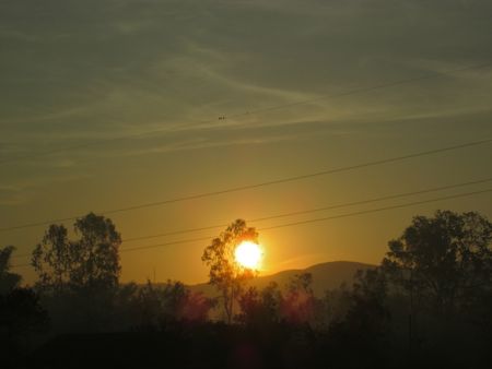 b0051109_10404267.jpg