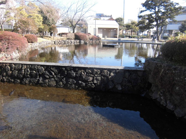 なつかしい！　三島・菰池公園_f0141310_822776.jpg