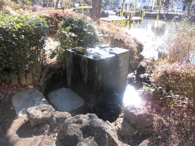 なつかしい! 三島・菰池公園_f0141310_825111.jpg