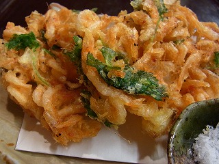 はつもん さくらえび!!_f0157910_1229122.jpg