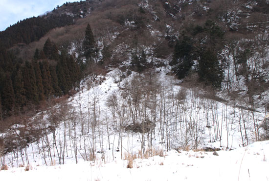 大津市 葛川あたり_e0048413_21463656.jpg