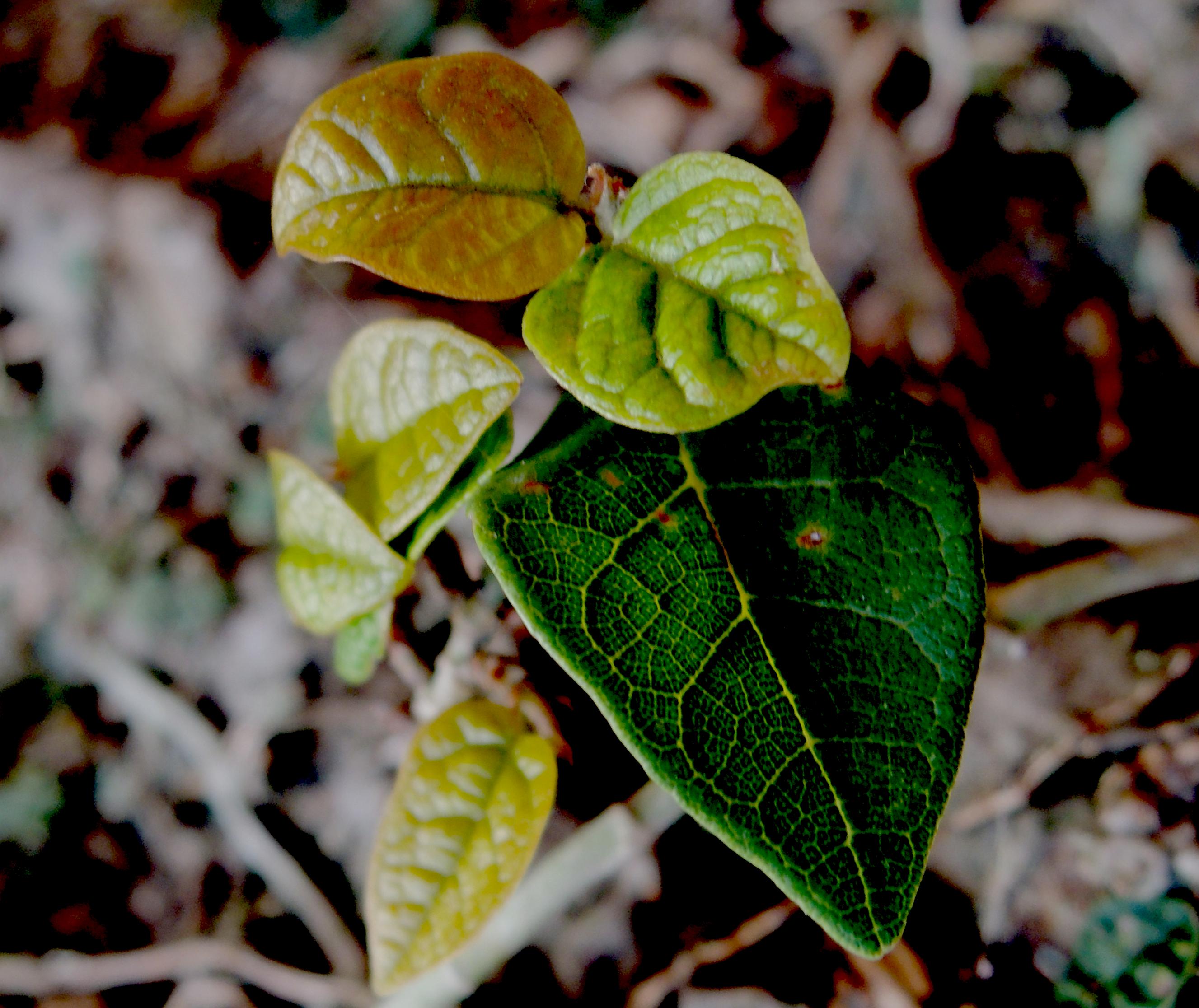 d0053616_20334750.jpg