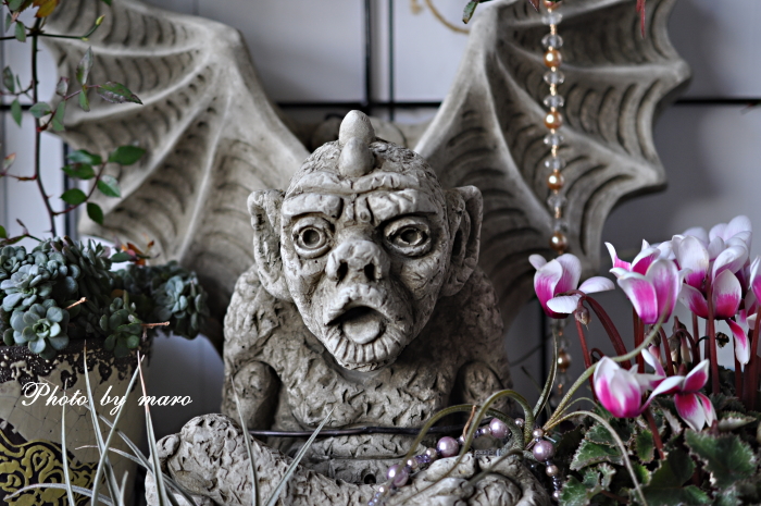 ワンダーデコールさんでお迎えしたガーゴイルちゃん勢ぞろい その1