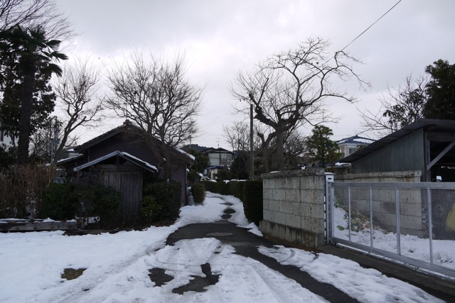 雪の「バナナ通り」_f0143119_2123233.jpg