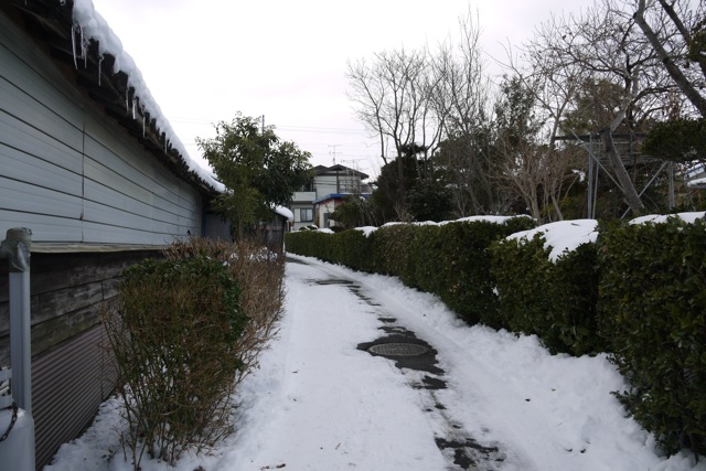 f0143119_2141283.jpg