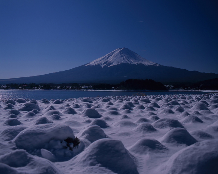 雪の下に　眠るラベンダー_d0240223_1943971.jpg