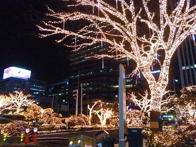 a0257324_15281491.jpg
