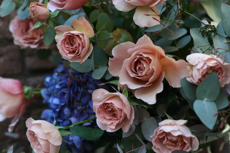 冬の会場装花 紅茶と青 アンカシェット様へ_a0042928_201430.jpg