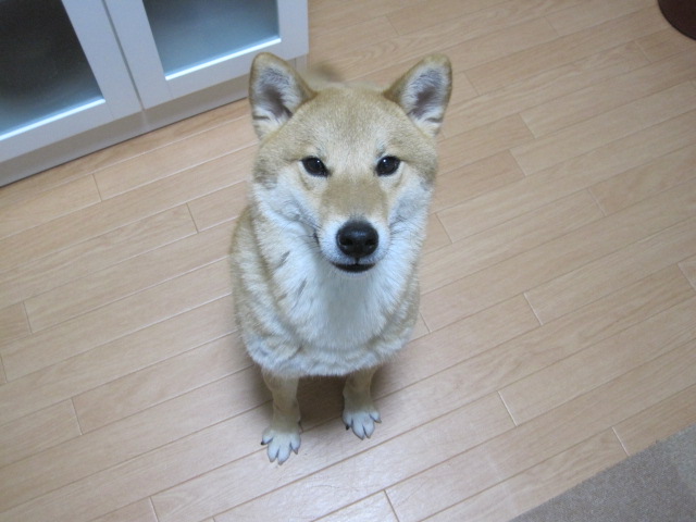 b0167733_9264116.jpg