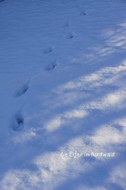 雪が積もったら。_a0256034_463084.jpg