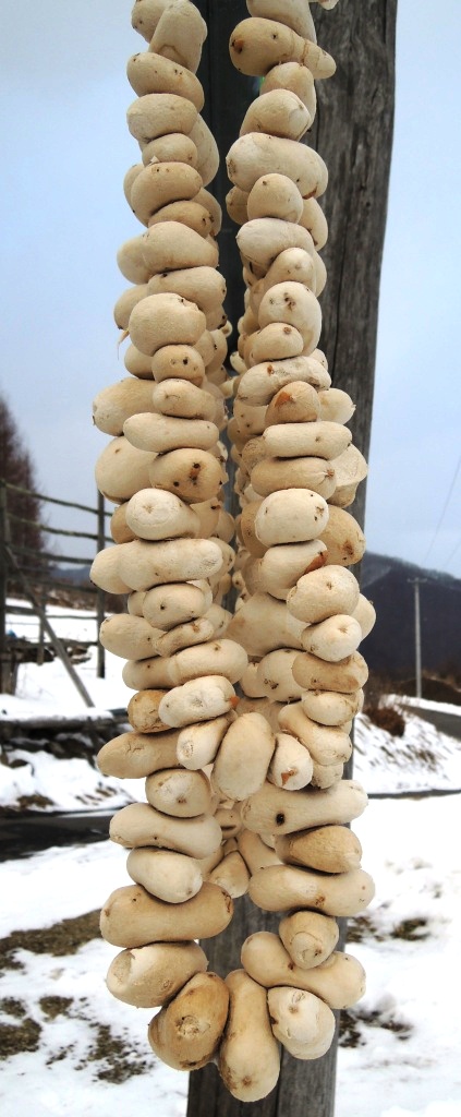 「凍みいも」は美しい!~十勝じゃがいも王子に捧ぐ~_b0206037_9301580.jpg