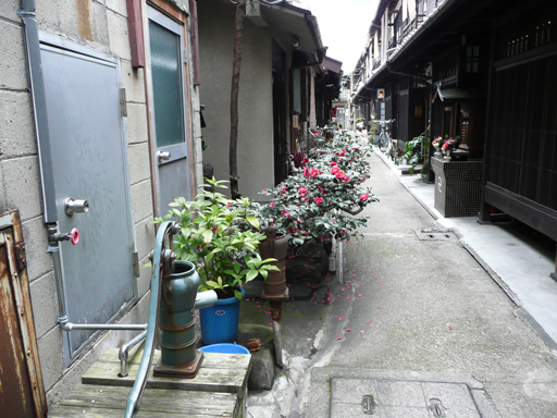 b0088340_114970.jpg