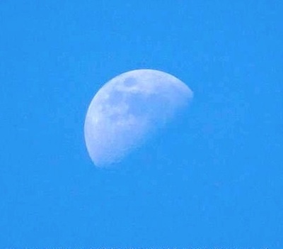 c0109850_18242488.jpg