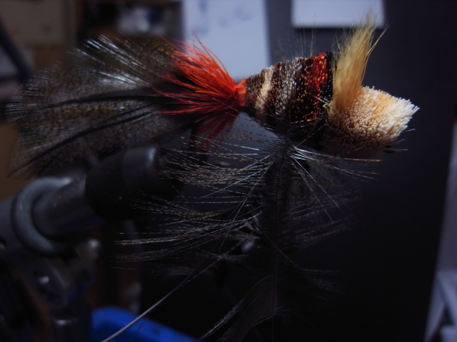 Bad Boy Bug\'s \"the 虫\"_c0153951_1451136.jpg