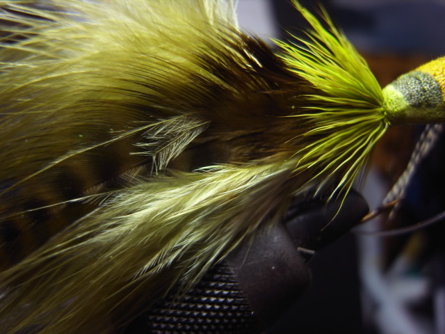 Bad Boy Bug\'s \"the 虫\"_c0153951_145258.jpg