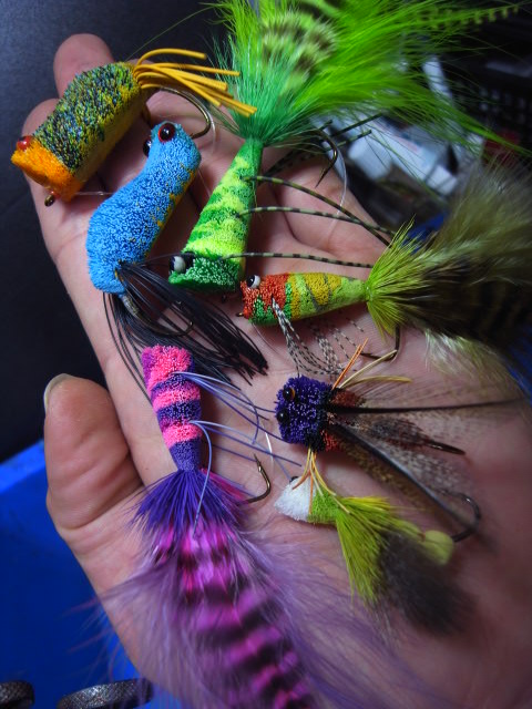 Bad Boy Bug\'s \"the 虫\"_c0153951_148396.jpg
