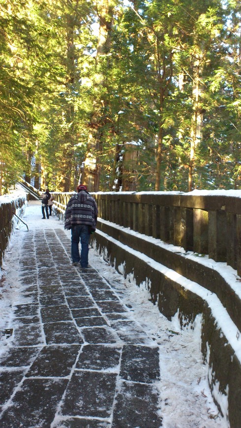 雪の東照宮_c0130861_10201837.jpg