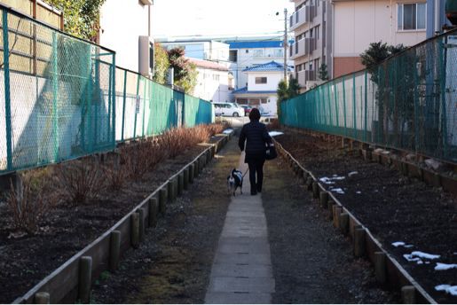 鶴見区駒岡5丁目  その参_f0230961_6473313.jpg