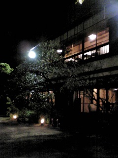 d0052263_1237788.jpg