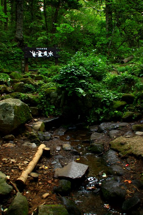 a0166371_17482187.jpg