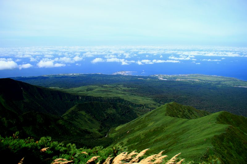 a0166371_17535536.jpg