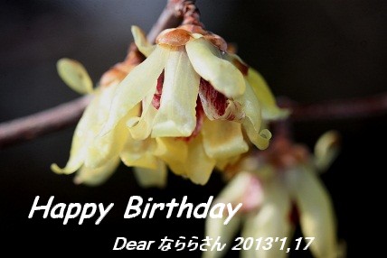 誕生日おめでとう！　　　　　（１月２４日）_d0077681_20134714.jpg