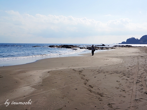 河津の海岸_e0156083_7364077.jpg