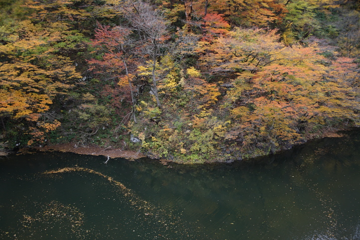 新潟県　村上市　三面渓谷の紅葉　おまけ_e0165983_11273150.jpg