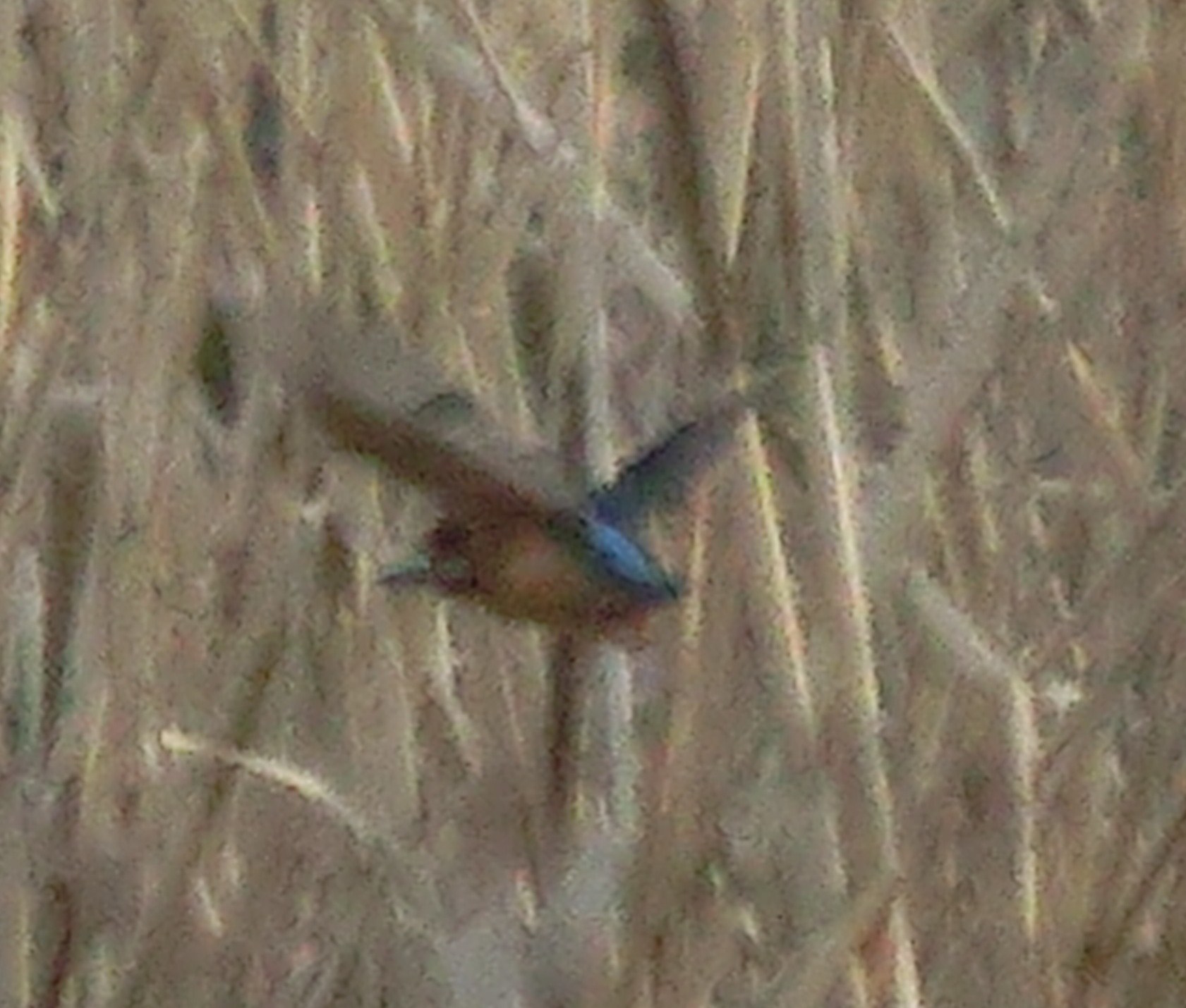 e0199784_22271914.jpg