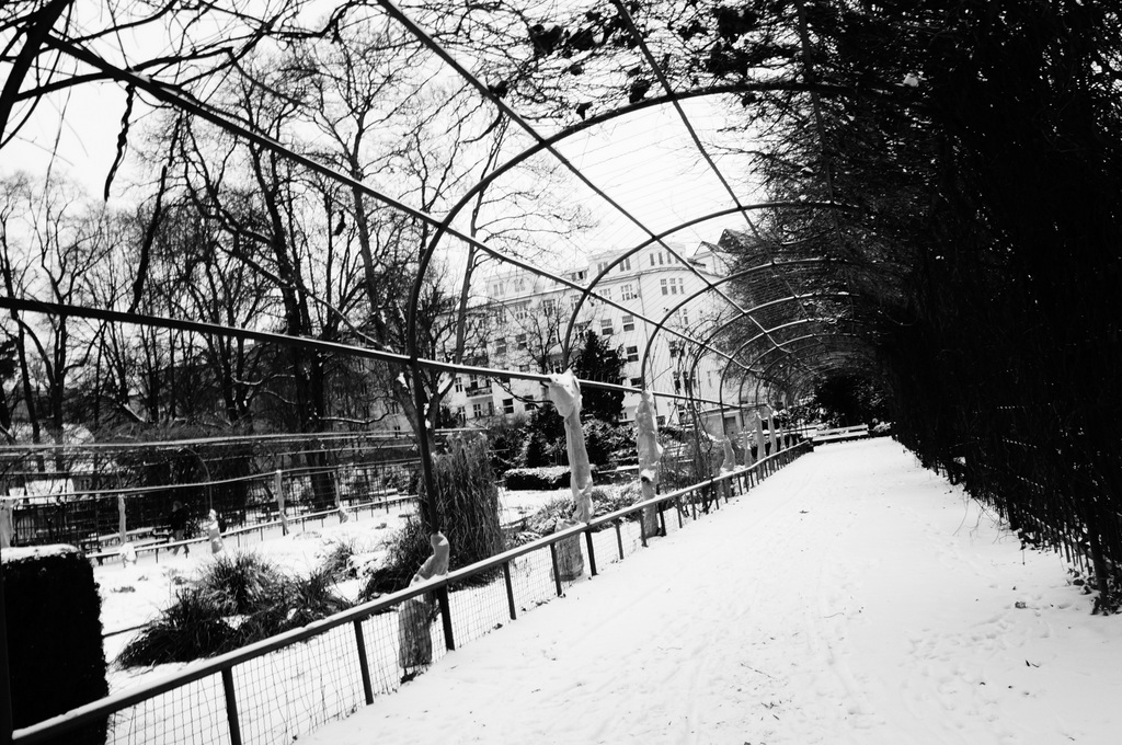 真冬のベルリン。_c0180686_22431518.jpg