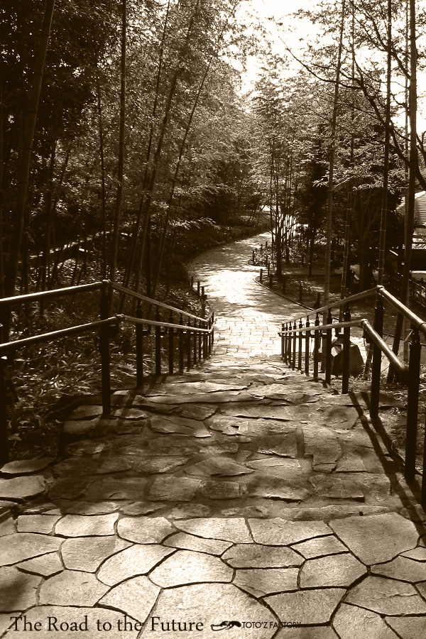 未来_a0034287_12171277.jpg