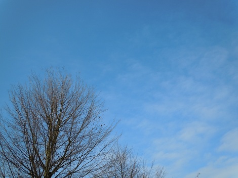 e0255187_4103490.jpg