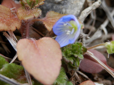 a0275492_4165725.jpg