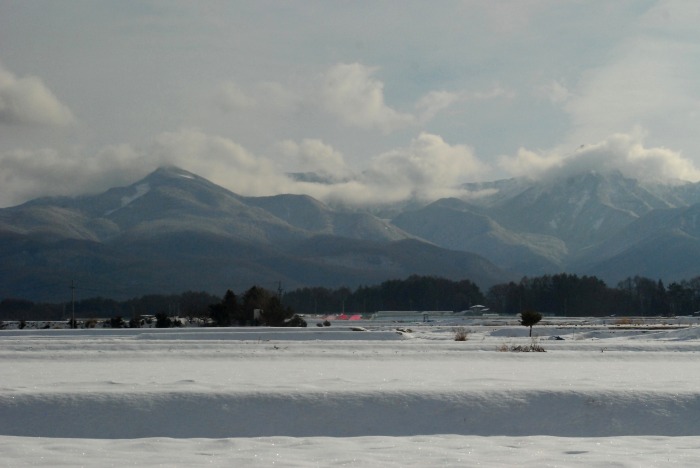 d0168292_17291731.jpg